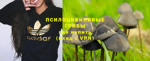 не бодяженный Богданович