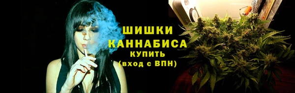 прущий лед Богородицк