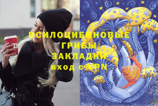 прущий лед Богородицк