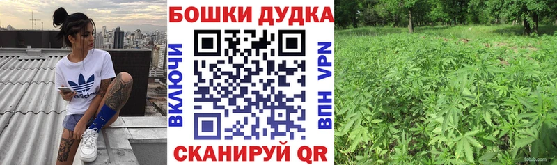 Канабис Amnesia  Иноземцево 